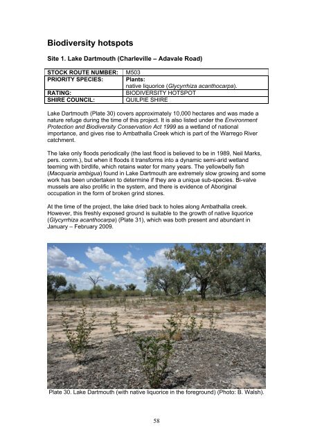 Enhancing Biodiversity Hotspots Along Western Queensland Stock ...