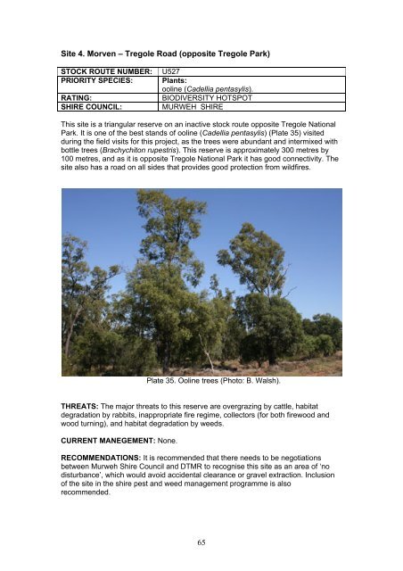 Enhancing Biodiversity Hotspots Along Western Queensland Stock ...