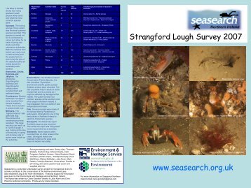 Strangford Lough 2007 - Seasearch