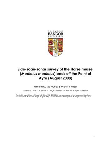 Side-scan-sonar survey of the Horse mussel - Fisheries ...