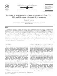 Evolution of Mexican Bursera (Burseraceae) inferred from ITS, ETS ...