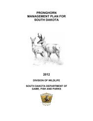 Pronghorn Antelope - South Dakota Department of Game, Fish and ...