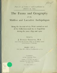 The fauna and geography of the Maldive and Laccadive ...