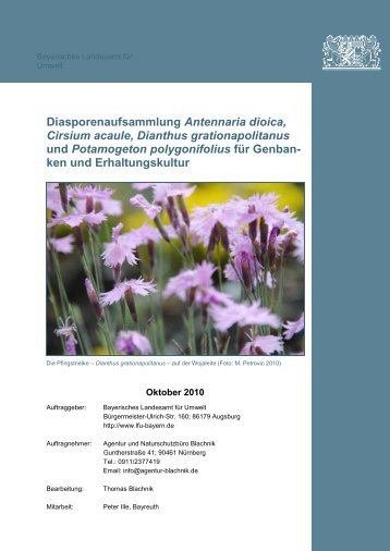 BLACHNIK, T. & ILLE, P. (2010): Diasporenaufsammlung Antennaria