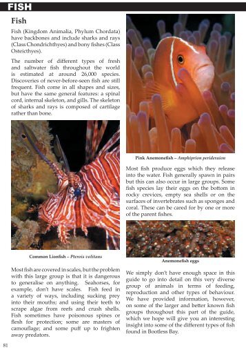 Fish (Kingdom Animalia, Phylum Chordata) have ... - Dave Harasti