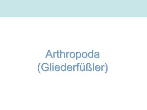 Arthropoda I (Gliederfüßer)