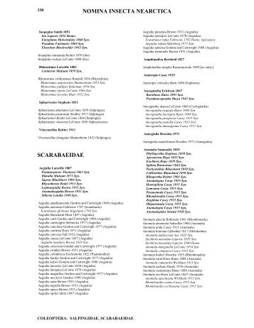 Salpingidae - Staphylinidae; pp. 330 - Nearctica