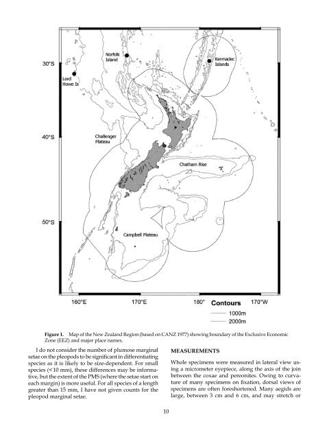 The Marine Fauna of New Zealand: Isopoda, Aegidae (Crustacea)