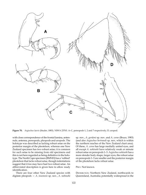 The Marine Fauna of New Zealand: Isopoda, Aegidae (Crustacea)