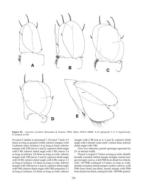 The Marine Fauna of New Zealand: Isopoda, Aegidae (Crustacea)