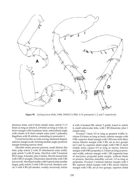 The Marine Fauna of New Zealand: Isopoda, Aegidae (Crustacea)