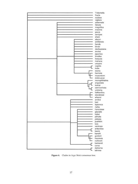 The Marine Fauna of New Zealand: Isopoda, Aegidae (Crustacea)