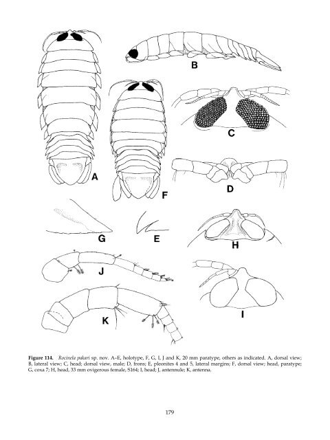 The Marine Fauna of New Zealand: Isopoda, Aegidae (Crustacea)