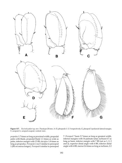 The Marine Fauna of New Zealand: Isopoda, Aegidae (Crustacea)