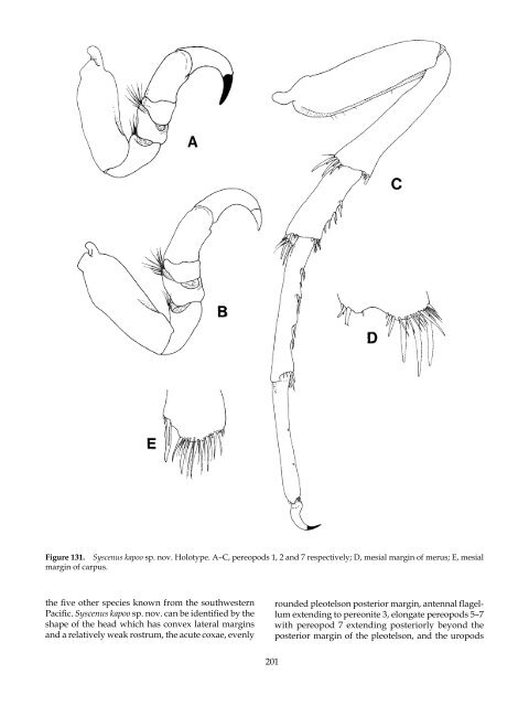 The Marine Fauna of New Zealand: Isopoda, Aegidae (Crustacea)