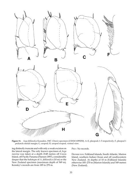 The Marine Fauna of New Zealand: Isopoda, Aegidae (Crustacea)