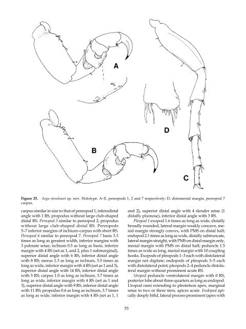 The Marine Fauna of New Zealand: Isopoda, Aegidae (Crustacea)