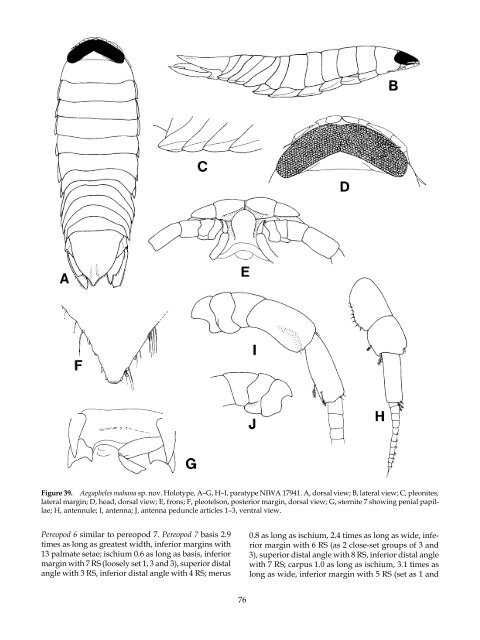 The Marine Fauna of New Zealand: Isopoda, Aegidae (Crustacea)