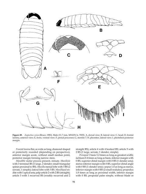 The Marine Fauna of New Zealand: Isopoda, Aegidae (Crustacea)