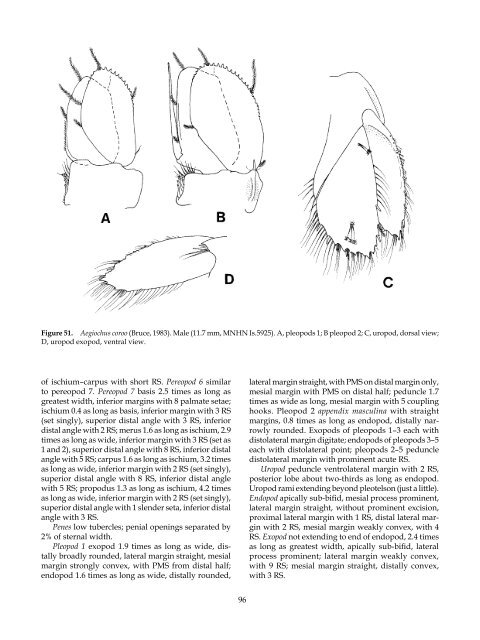 The Marine Fauna of New Zealand: Isopoda, Aegidae (Crustacea)