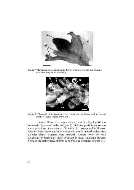 Hermaphroditism in Pistacia atlantica Desf. : A New Report from ...