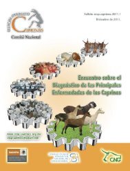dehiscencia zonular código icd 10 para diabetes dehiscencia zonular código icd 10 para diabetes