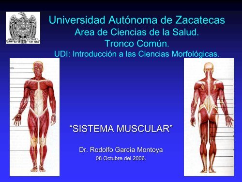 sistema muscular - UAZ