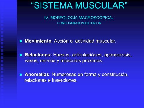 sistema muscular - UAZ