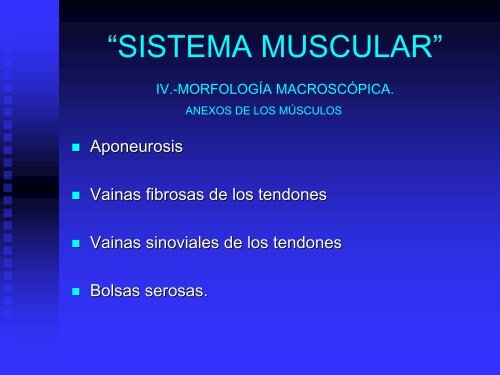 sistema muscular - UAZ