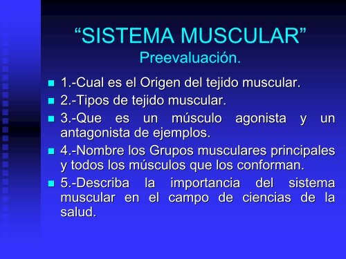 sistema muscular - UAZ