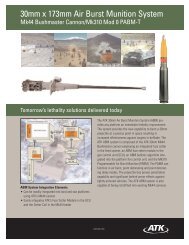 30mm x 173mm Air Burst Munition System