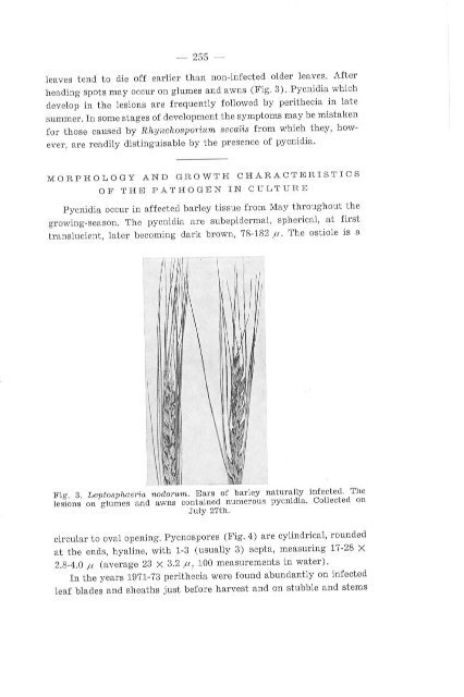 Friesia X, 4-5