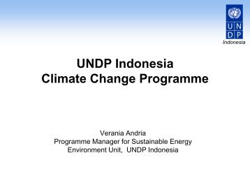 Dr. Verania Andria, Programme - UNEP