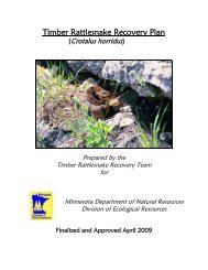 Timber Rattlesnake Recovery Plan - Minnesota Department of ...