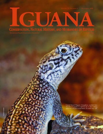 Iguana b&w text - International Reptile Conservation Foundation