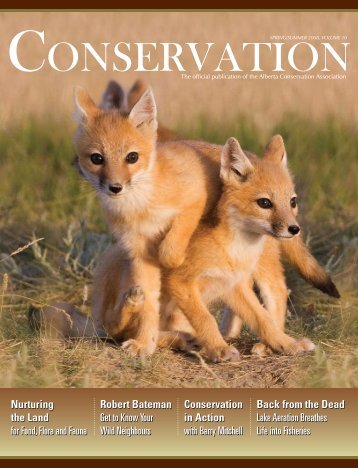 Spring/Summer 2008 - Alberta Conservation Association