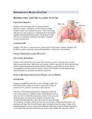 kinesiology-human systems respiratory and ... - Michelle Wang