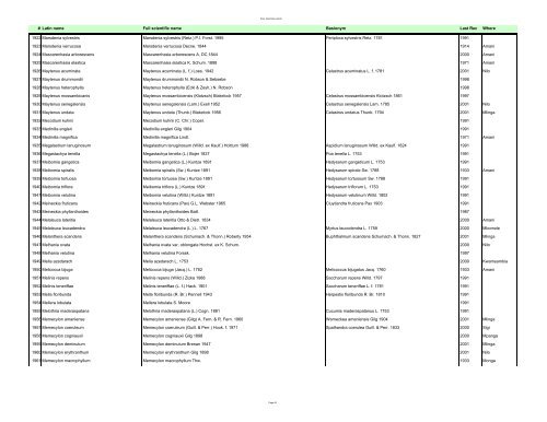 Vascular Plants