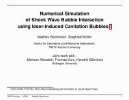 Numerical Simulation of Shock Wave Bubble Interaction using laser ...