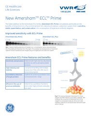 Amersham ECL Prime specifications