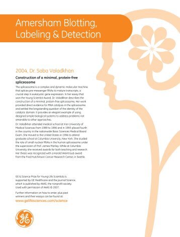 Amersham Blotting, Labeling & Detection - LKB