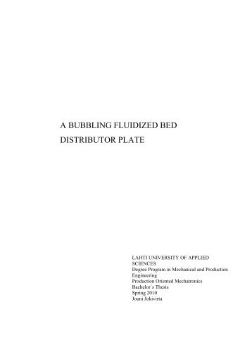 A BUBBLING FLUIDIZED BED DISTRIBUTOR PLATE - Theseus