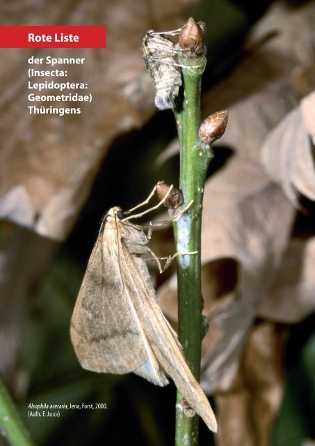 Rote Liste der Spanner - Museum für Naturkunde Chemnitz