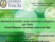 Biomasse forestali: quale contributo energetico ... - Bioenergy World