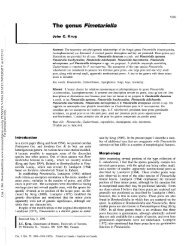 The genus Fimetariella - ASCOfrance