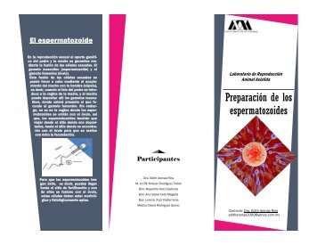 Descarga el Tríptico: "Preparación de los Espermatozoides"