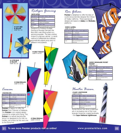 Ceewan POINTER KITE Size