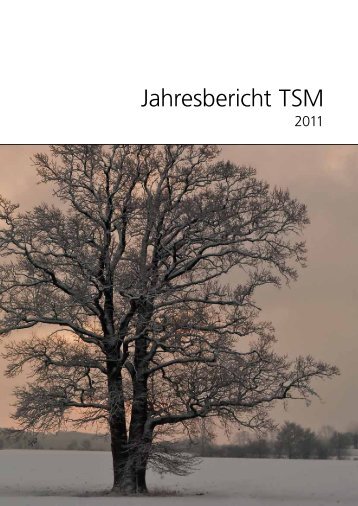 Jahresbericht TSM 2011 - TSM Treuhand GmbH