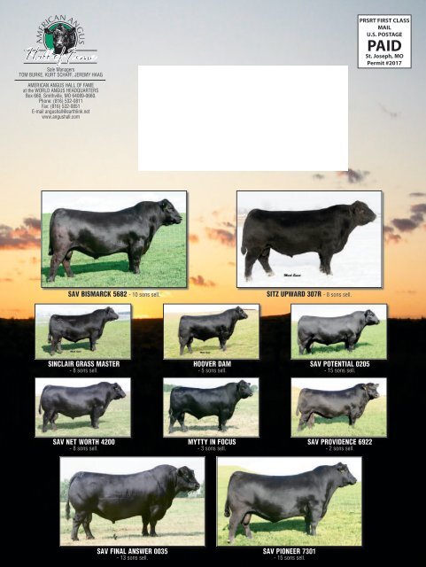 download sale catalog - Iron Mountain Cattle Co.