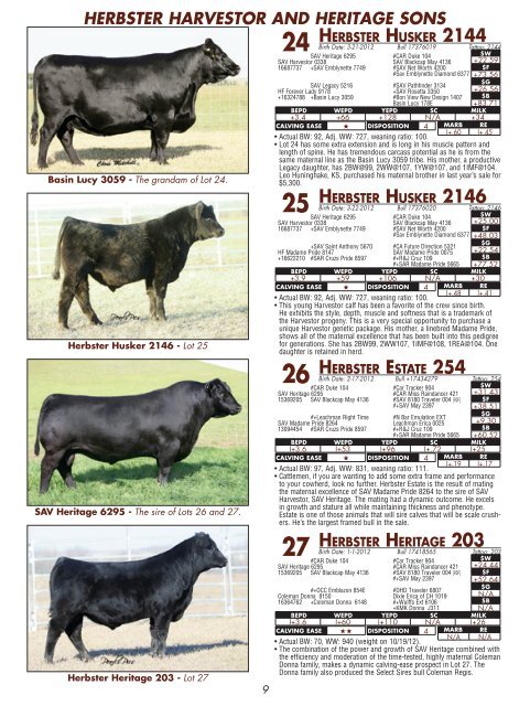 click here for our 2013 bull sale catalog - Herbster Angus Farms